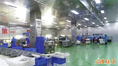 強主體 塑品牌 推項目 臨澧深耕農產品加工產業見成效