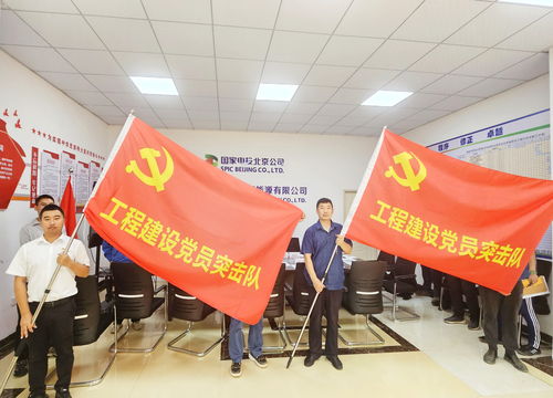 國家電投北京新能源與北京宏信組建海南工程建設聯合黨支部，共筑清潔能源新篇章